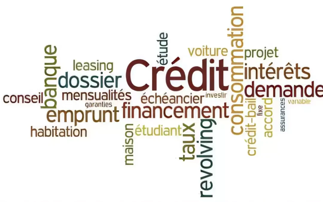 Crédit professionnel : qu'est ce que c'est ?